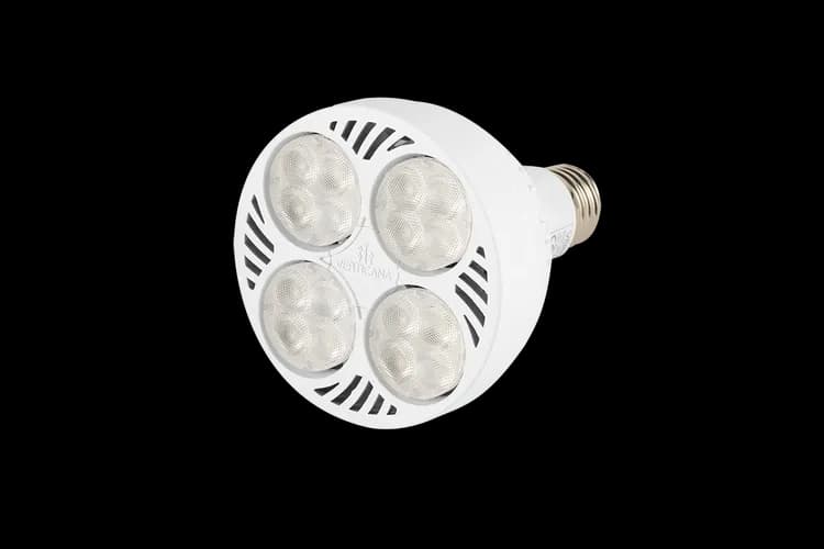 Najlepsze żarówki 35W: Wybierz oszczędne i wydajne oświetlenie