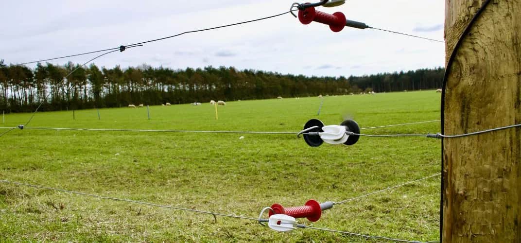 Jak zrobić uziemienie do pastucha, aby uniknąć problemów z działaniem