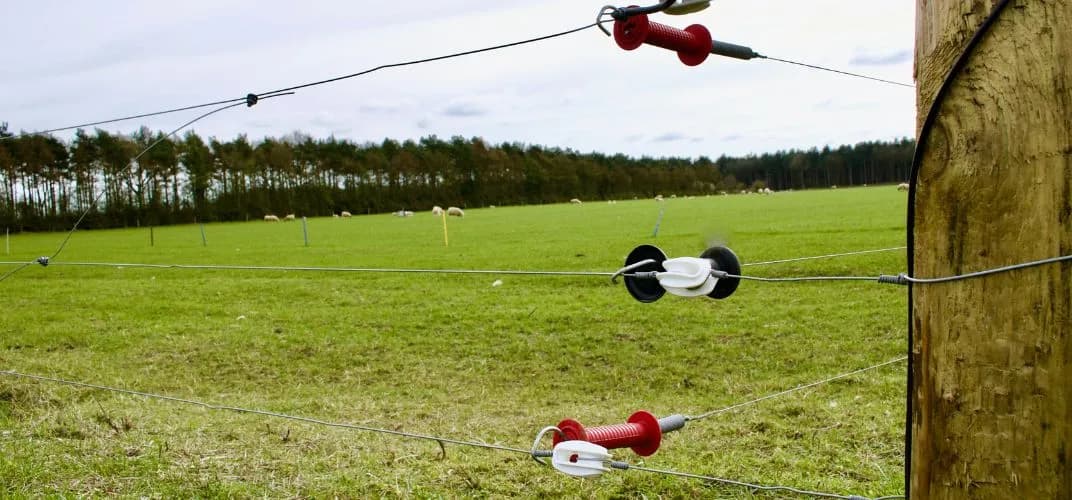 Jak zrobić uziemienie do pastucha, aby uniknąć problemów z działaniem